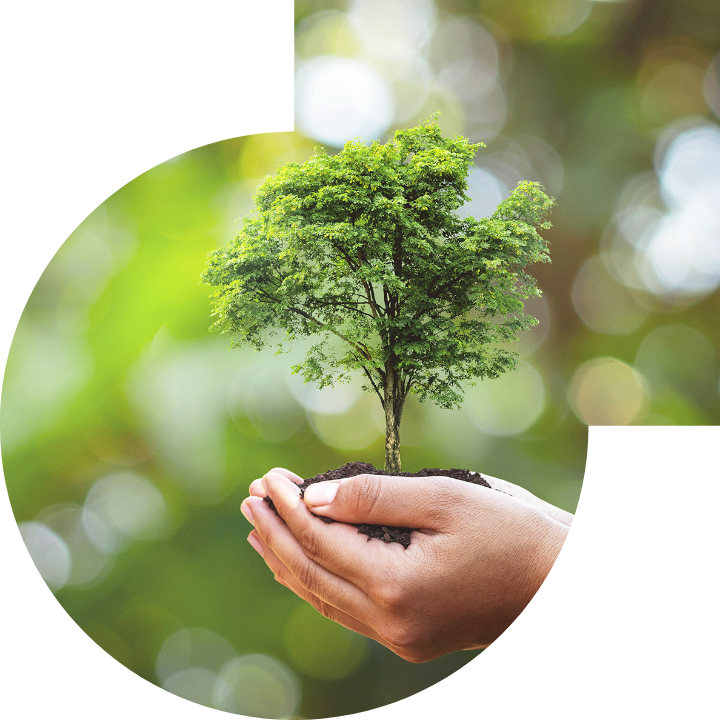 關懷人類、文化、環境與社會